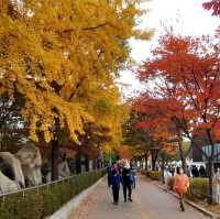 Autumn at Seoul Olympic Park