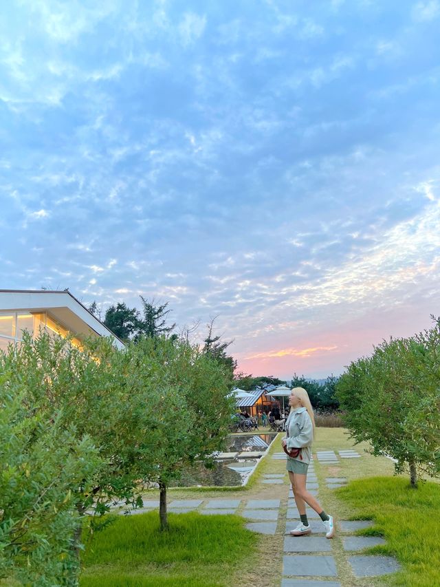 천안 핑크뮬리 카페☕️