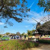 秋のアンデンセン公園ーとてもハロウィン！😂