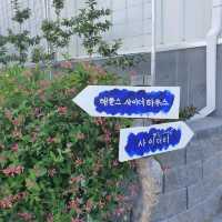 해플스 팜사이더리🍎