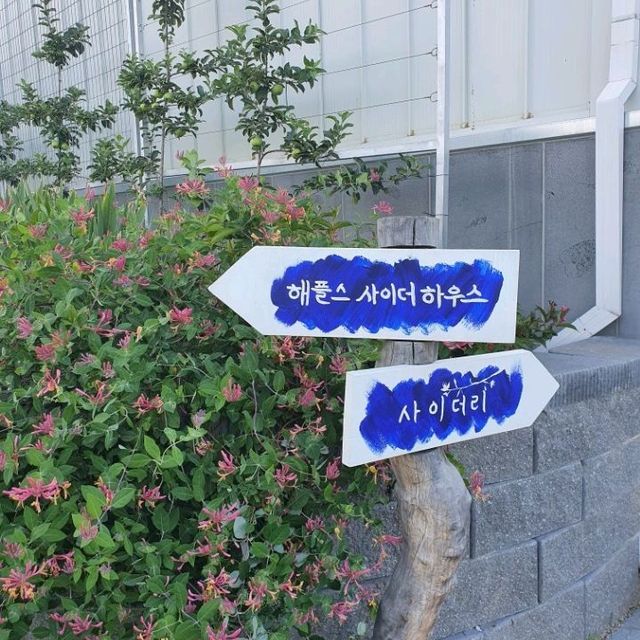 해플스 팜사이더리🍎