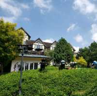 非常棒的住宿體驗【桃園復興】綠光森林民宿