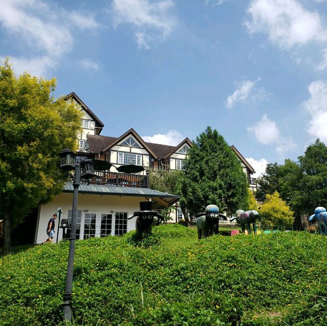 非常棒的住宿體驗【桃園復興】綠光森林民宿