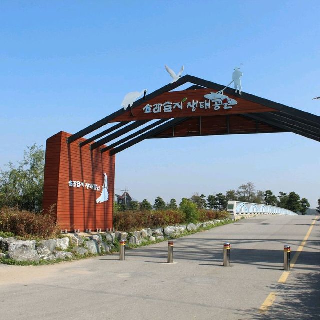인생샷 건지고 싶다면? 인천 여행 필수코스!