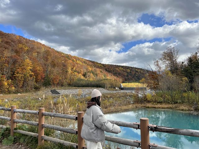 北海道超有名景點—青い池😍😍😍