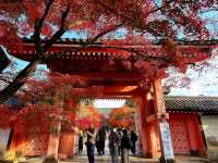 真正極楽寺 (真如堂)