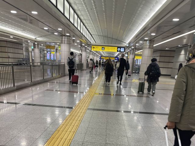 待ちに待った海外旅行✈️