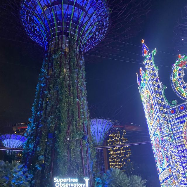 Garden by the bay #Christmas Wonderland