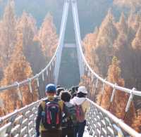 Autumn Season in Daejeon