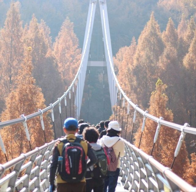 Autumn Season in Daejeon