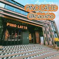 PINO​ LATTE​ เขาค้อ​  เพชรบูรณ์