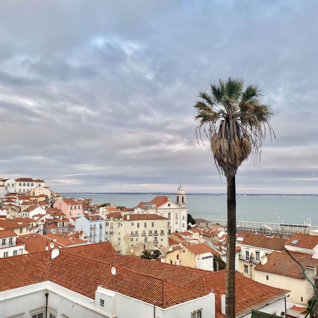 리스본 격동의 시대를 담은 굴다리를 지나, 포르타스 두 솔 전망대🌴🇵🇹