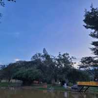 EVENING CHILLING AT PARK 