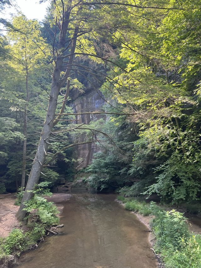 Cedar Falls in Hocking Hills