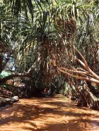 Fairy Stream - Mui Ne, Vietnam