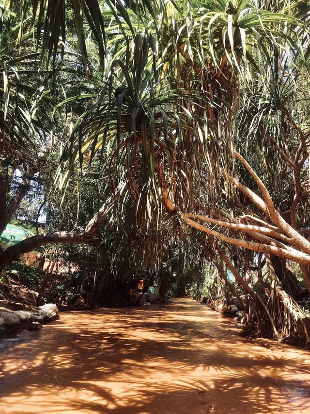 Fairy Stream - Mui Ne, Vietnam