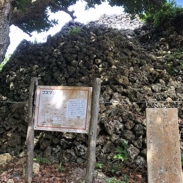 何もしないでノンビリがおすすめ　黒島