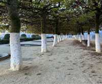 布魯塞爾藝術山Mont des Arts