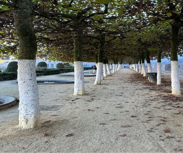 布魯塞爾藝術山Mont des Arts