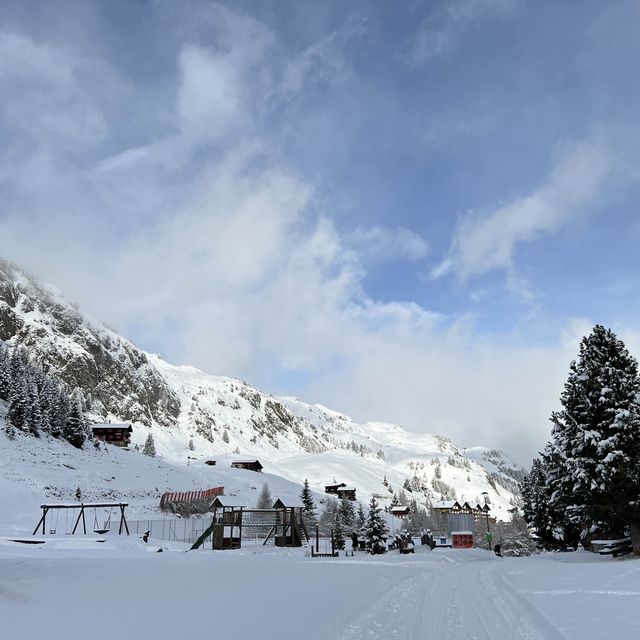 首登aletsch arena
