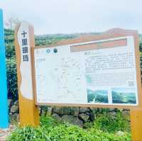 Hangzhou Longjin Tea Plant 🍃 