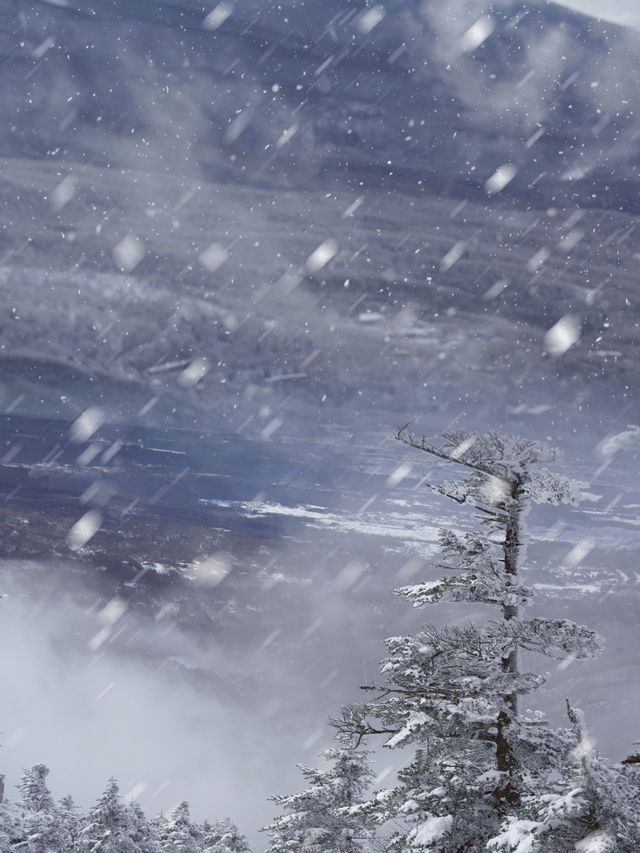 Climbed to the summit of Mount Ryoukou in Japan, one of the 100 famous mountains, during the severe winter season.