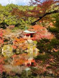 Autumn trip to Kyoto, Japan, enjoy the beauty of Bishamon-do and the red leaves of Daigo-ji Temple.