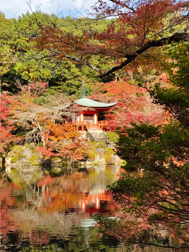 Autumn trip to Kyoto, Japan, enjoy the beauty of Bishamon-do and the red leaves of Daigo-ji Temple.