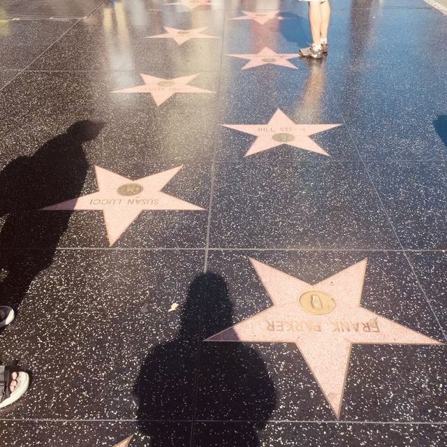 Hollywood | Walk of Fame