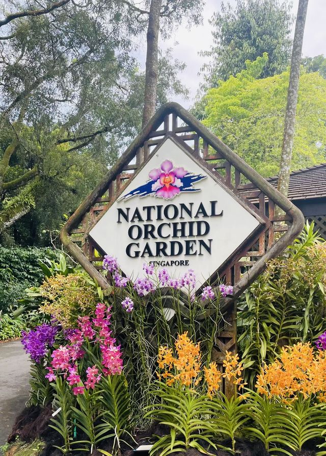 Spring is all about going to see flowers 🌸🌸 | National 
Orchid Garden