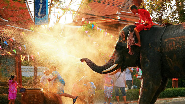Krung Kao Ayutthaya Songkran Elephant Festival｜Songkran 2024 | Wat Chaiwatthanaram
