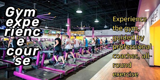 Gym experience course | 475 Ginny Ln