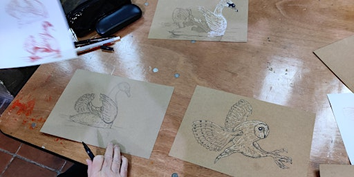 Bird Drawing and Construction with Michael Rios | Swarthmore Education Centre