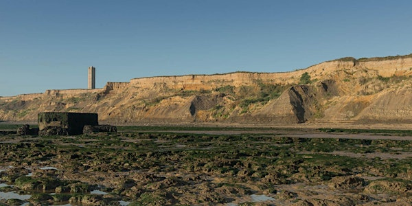 Wilder Communities Walk: Naze Seashore Stroll | Naze Nature Discovery Centre