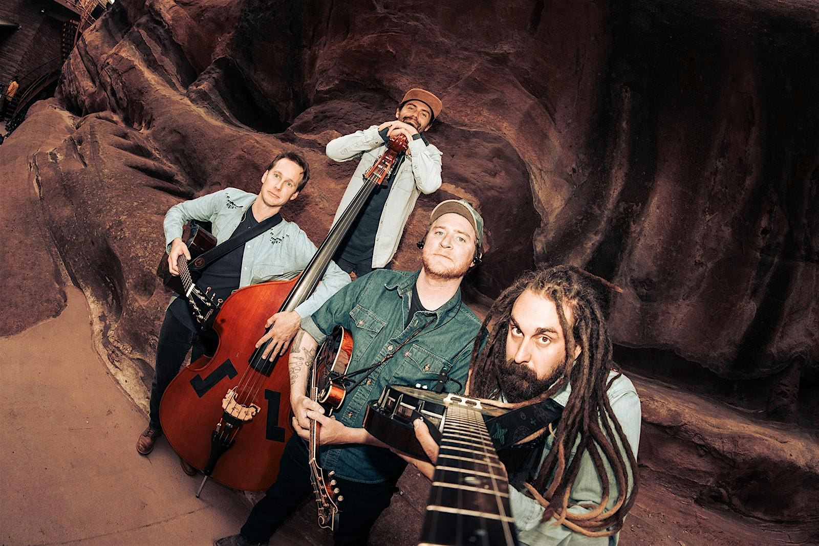 Kitchen Dwellers | The Hive