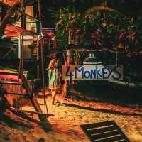 4 monkeys บาร์สุดชีล ณ เกาะสมุย