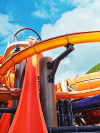海洋公園水上樂園門票正式發售