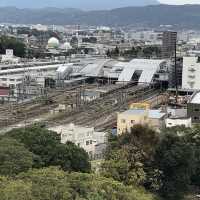 半日でも楽しめる小田原