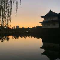皇居外苑&東御苑