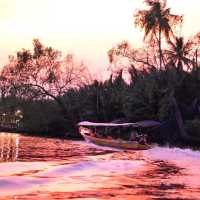 ล่องเรือเที่ยวอัมพวา
