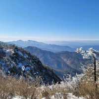 손쉽게 산 정상에서 눈꽃을 볼 수 있는 덕유산 리조트
