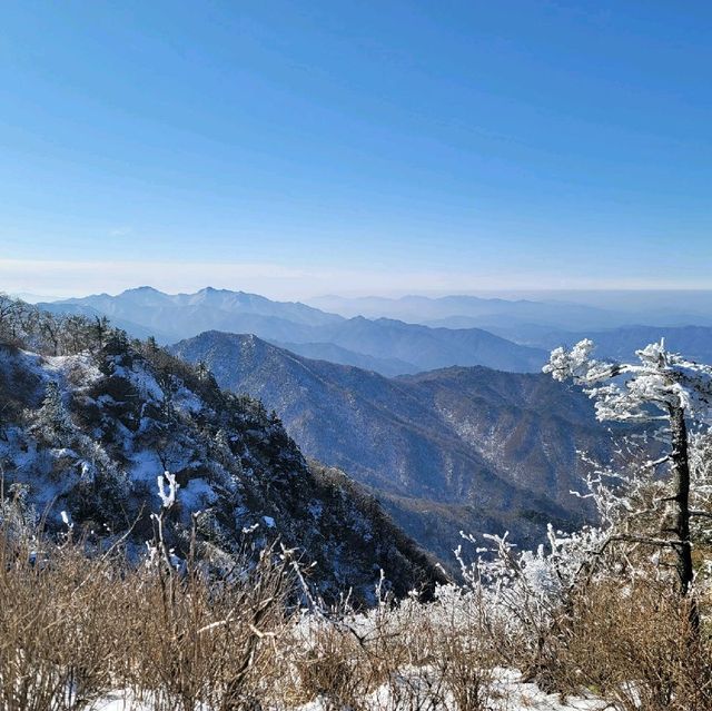 손쉽게 산 정상에서 눈꽃을 볼 수 있는 덕유산 리조트