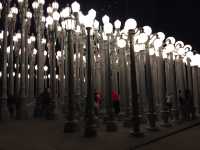 City of angels - LA ✨