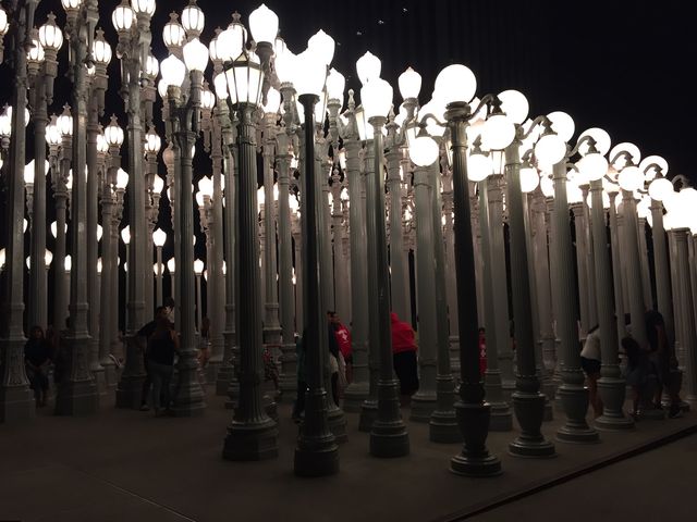 City of angels - LA ✨