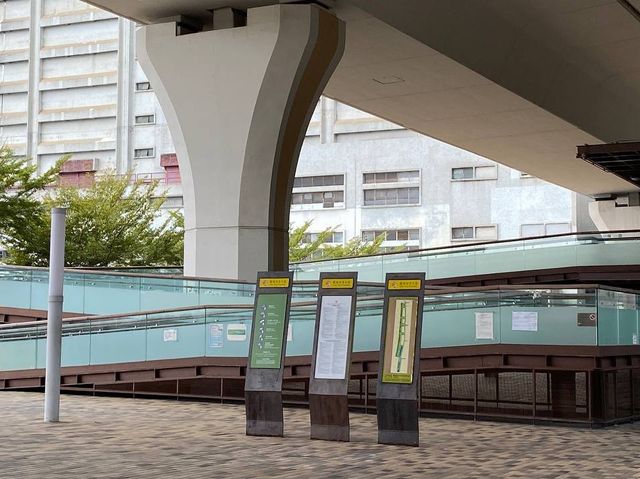 從觀塘海濱公園欣賞維港
