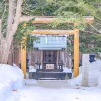 冬の円山公園から北海道神宮にかけて