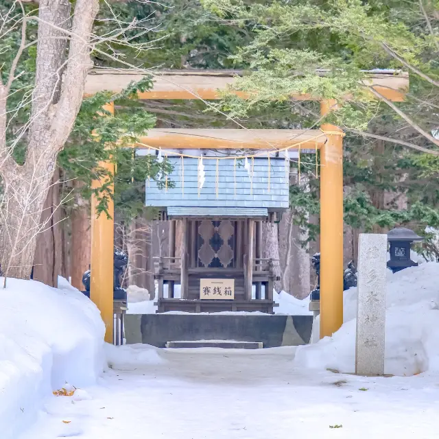 冬の円山公園から北海道神宮にかけて