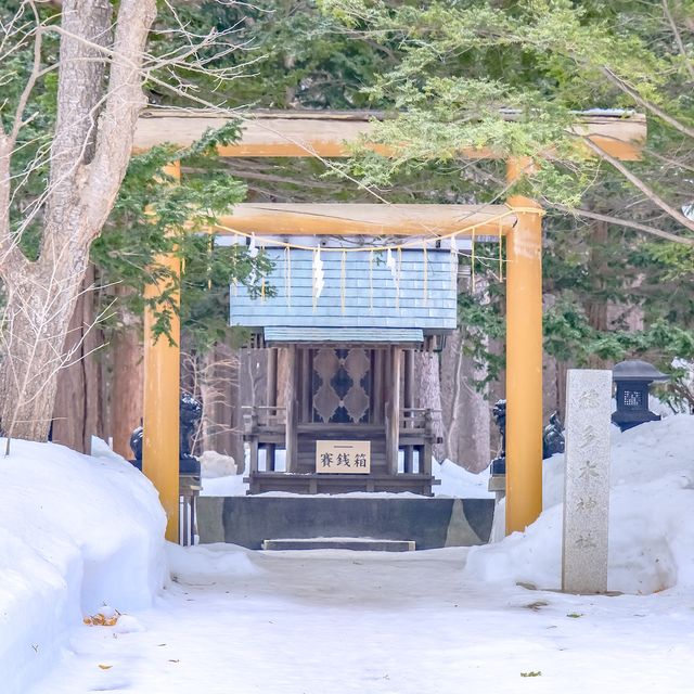 冬の円山公園から北海道神宮にかけて