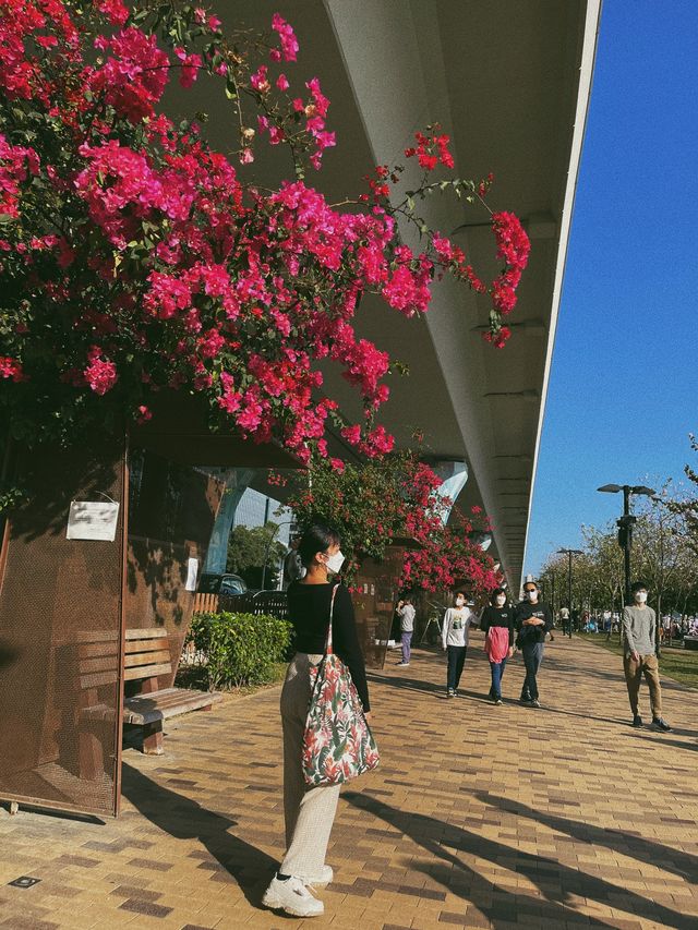 一次過睇海同埋花既地方！