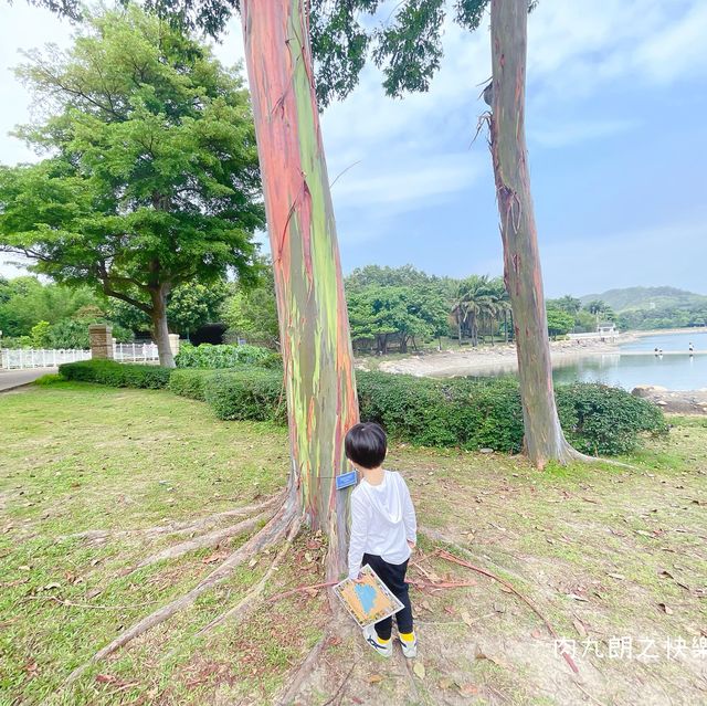 迪欣湖